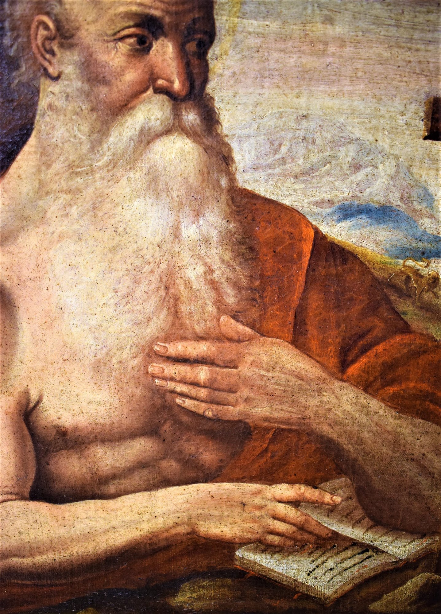 San Girolamo in meditazione